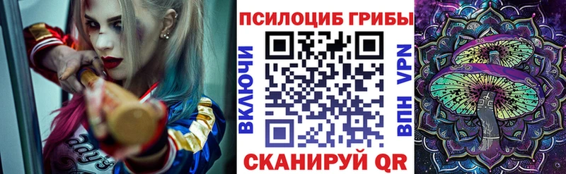 сколько стоит  Щучье  Галлюциногенные грибы мицелий 